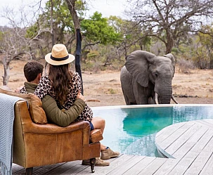 SUD AFRICA A MODO MIO: CAPE TOWN - TIMBAVATI  - JOHANNESBURG