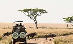 TANZANIA CLASSICA 2025: SERENGETI - NGORONGORO - TARANGIRE