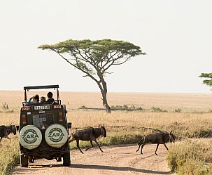 TANZANIA CLASSICA 2025: SERENGETI - NGORONGORO - TARANGIRE