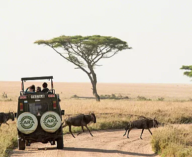 TANZANIA CLASSICA 2025: SERENGETI - NGORONGORO - TARANGIRE