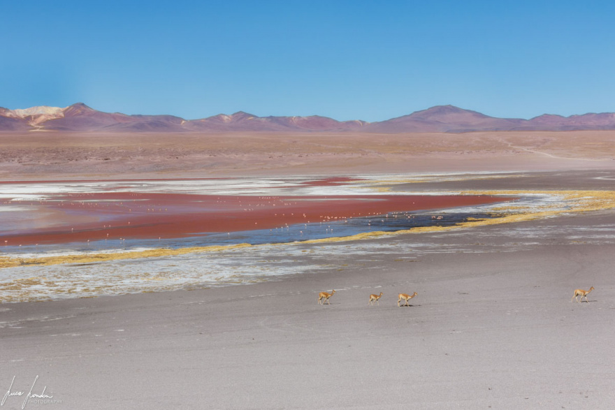 BOLIVIA MOSAICO 2025: LA PAZ SALAR DE UYUNI - LAGUNE COLORATE