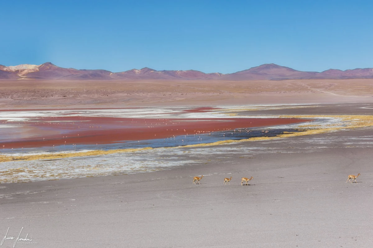 BOLIVIA MOSAICO 2025: LA PAZ SALAR DE UYUNI - LAGUNE COLORATE