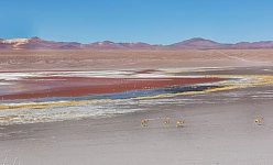 BOLIVIA MOSAICO 2025: LA PAZ SALAR DE UYUNI - LAGUNE COLORATE