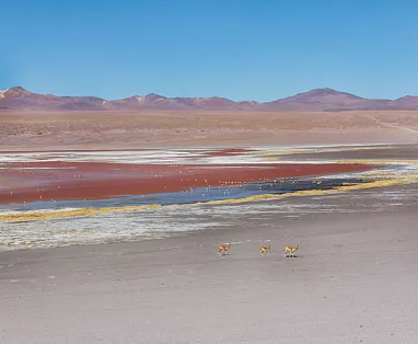 BOLIVIA MOSAICO 2025: LA PAZ SALAR DE UYUNI - LAGUNE COLORATE