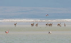 CILE FACILE 2025: SANTIAGO - ATACAMA - PUERTO NATALES / CAT STANDARD