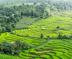 BANGKOK 2025  :  ANTICHE CAPITALI & NUOVE EMOZIONI THAILANDESI