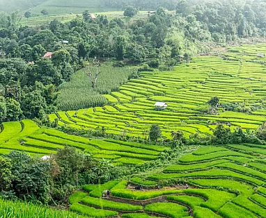 BANGKOK 2025 : ANTICHE CAPITALI & NUOVE EMOZIONI THAILANDESI