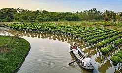 VIETNAM MERAVIGLIE E TESORI 2025:  HA NOI-HA LONG-HO CHI MINH