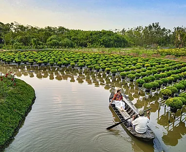 VIETNAM MERAVIGLIE E TESORI 2025: HA NOI-HA LONG-HO CHI MINH