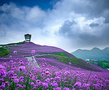 CINA: TOUR CINA GIARDINO