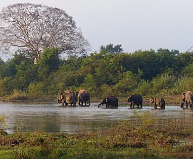 SRI LANKA: TOUR INDIVIDUALI IL MEGLIO DELLO SRI LANKA