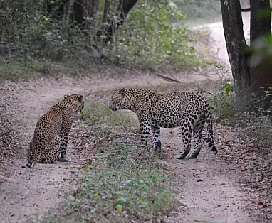SRI LANKA: TOUR INDIVIDUALI SRI LANKA SPLENDIDA