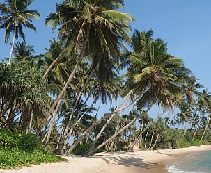 OFFERTISSIME TOUR INDIVIDUALI SRI LANKA FINO AD OTTOBRE 2025