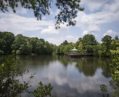 STATI UNITI: FLY & DRIVE RITMI DEL SUD