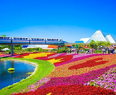 STATI UNITI: FLY & DRIVE L’EREDITÀ DEL SUD