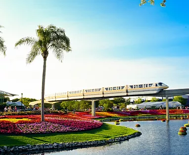 STATI UNITI: FLY & DRIVE FLORIDA IN FAMIGLIA