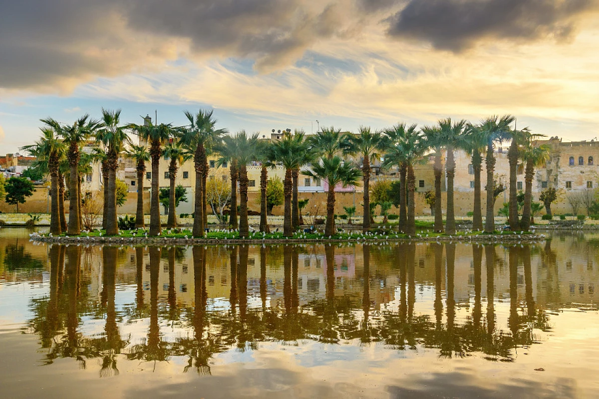 TOUR FES E MEDINA   -   5 Giorni / 4 Notti  -  Standard