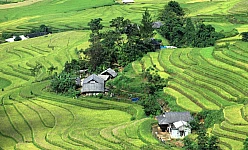 VIETNAM E CAMBOGIA: TOUR SIEM REAP E PERLE DI VIETNAM 2026
