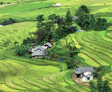 VIETNAM E CAMBOGIA: TOUR SIEM REAP E PERLE DI VIETNAM 2026