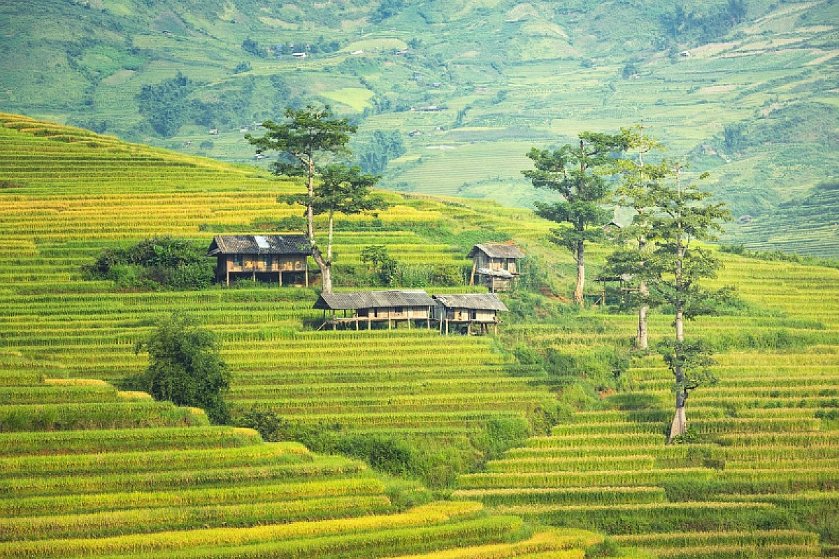 VIETNAM-CAMBOGIA-LAOS: TOUR PERLE DI INDOCINA 2026