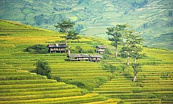 VIETNAM-CAMBOGIA-LAOS: TOUR PERLE DI INDOCINA 2026
