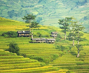 VIETNAM-CAMBOGIA-LAOS: TOUR PERLE DI INDOCINA 2026