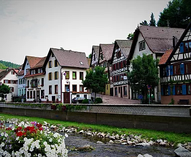 GERMANIA: TOUR ALSAZIA - FORESTA NERA - VALLE DEL RENO