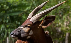 SOLO PER VOI KENYA - 10 GIORNI CAT. COMFORT - PARTENZE DA ROMA E MILAN