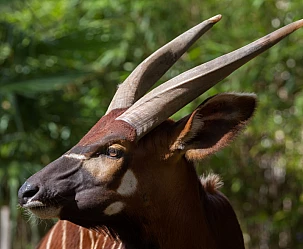 SOLO PER VOI KENYA - 10 GIORNI CAT. COMFORT - PARTENZE DA ROMA E MILAN