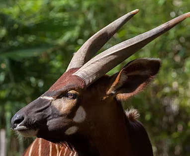 SOLO PER VOI KENYA - 10 GIORNI CAT. COMFORT - PARTENZE DA ROMA E MILAN