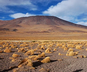 BOLIVIA: TOUR BOLIVIA LAGUNE DELL'ALTIPIANO