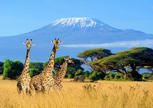 Vacanze in Kenya: periodo migliore, consigli e... pericoli