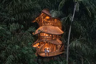Tarzan per una notte? Nella fitta giungla di Bali puoi dormire completamente immerso nella natura, ma in bungalow di lusso