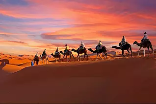 Meno di 100 euro per un viaggio nel deserto del Sahara a bordo di simpatici dromedari: in Marocco puoi vivere un'esperienza unica