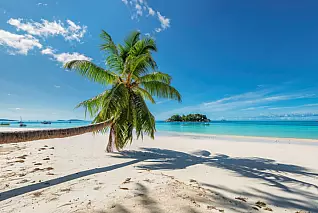 Viaggio ai Caraibi: ecco come scegliere la stagione ideale per questo paradiso topicale