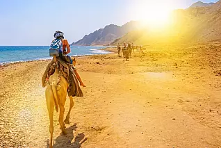Ecco 4 escursioni da non perdere a Sharm El Sheikh