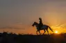 Esperienza unica da fare in coppia: passeggiata a cavallo nel parco dei Castelli Romani al tramonto