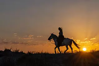 Esperienza unica da fare in coppia: passeggiata a cavallo nel parco dei Castelli Romani al tramonto