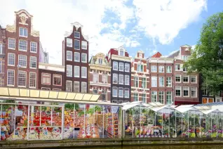 Viaggio ad Amsterdam, guida utile alla città